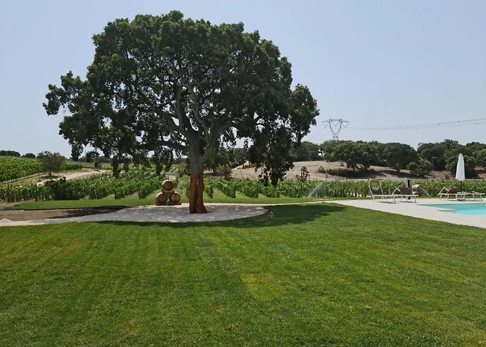 La Vinia Bed&wine Experience - Adults Only Bauernhof Sassari