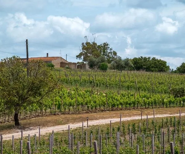 La Vinia Bed&wine Experience - Adults Only