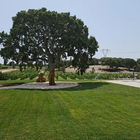 La Vinia Bed&wine Experience - Adults Only Farm stay Sassari