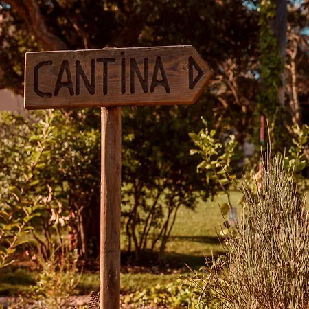 La Vinia Bed&wine Experience - Adults Only Farm stay