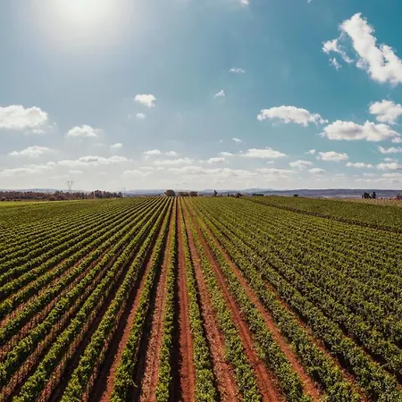 Farm stay La Vinia Bed&wine Experience - Adults Only