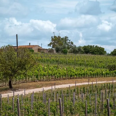 La Vinia Bed&wine Experience - Adults Only